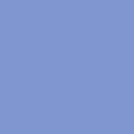 Midnighy navy